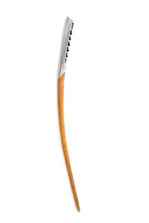 Torch